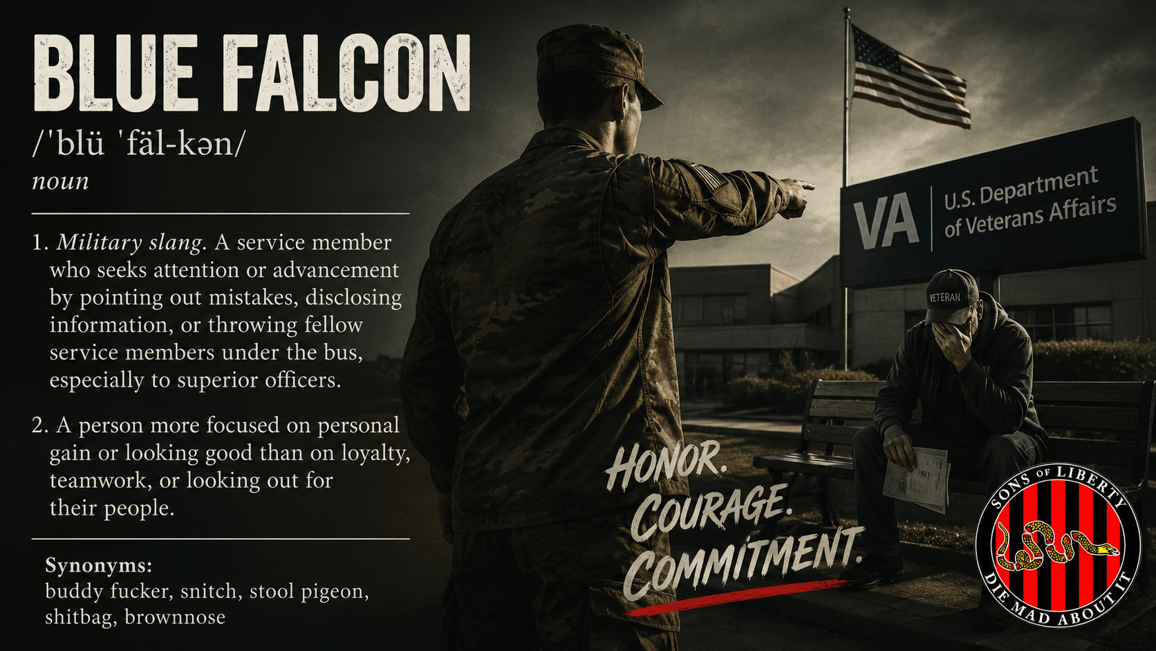Blue Falcon at the VA Gate