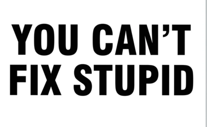 I CAN'T FIX STUPID
