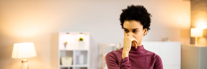 POTUS and the Eternal Reek: A Field Guide to the Empire of Stench