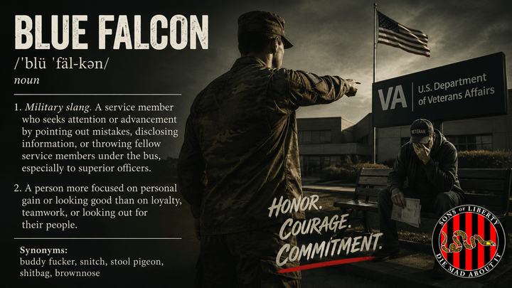 Blue Falcon at the VA Gate
